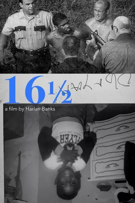 16 1/2