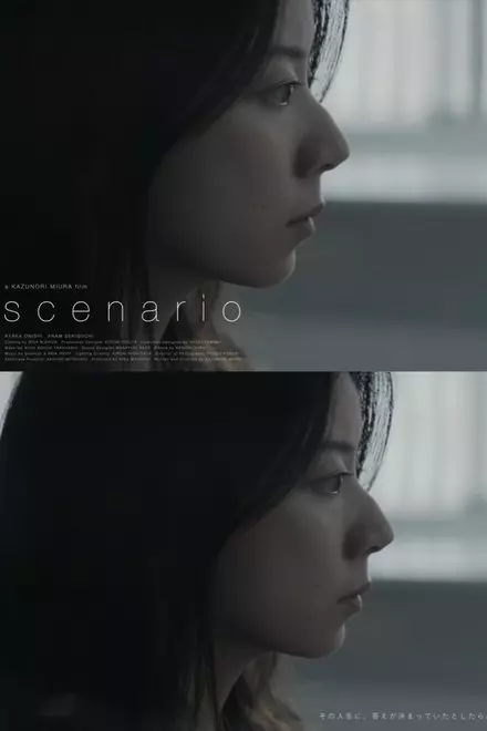 Scenario