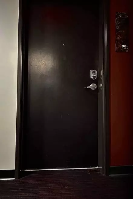 The Host
