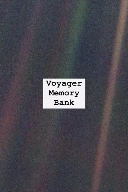 Voyager Memory Bank